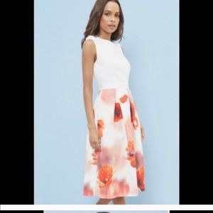 Ted Baker London Dress Playful Poppy white bow